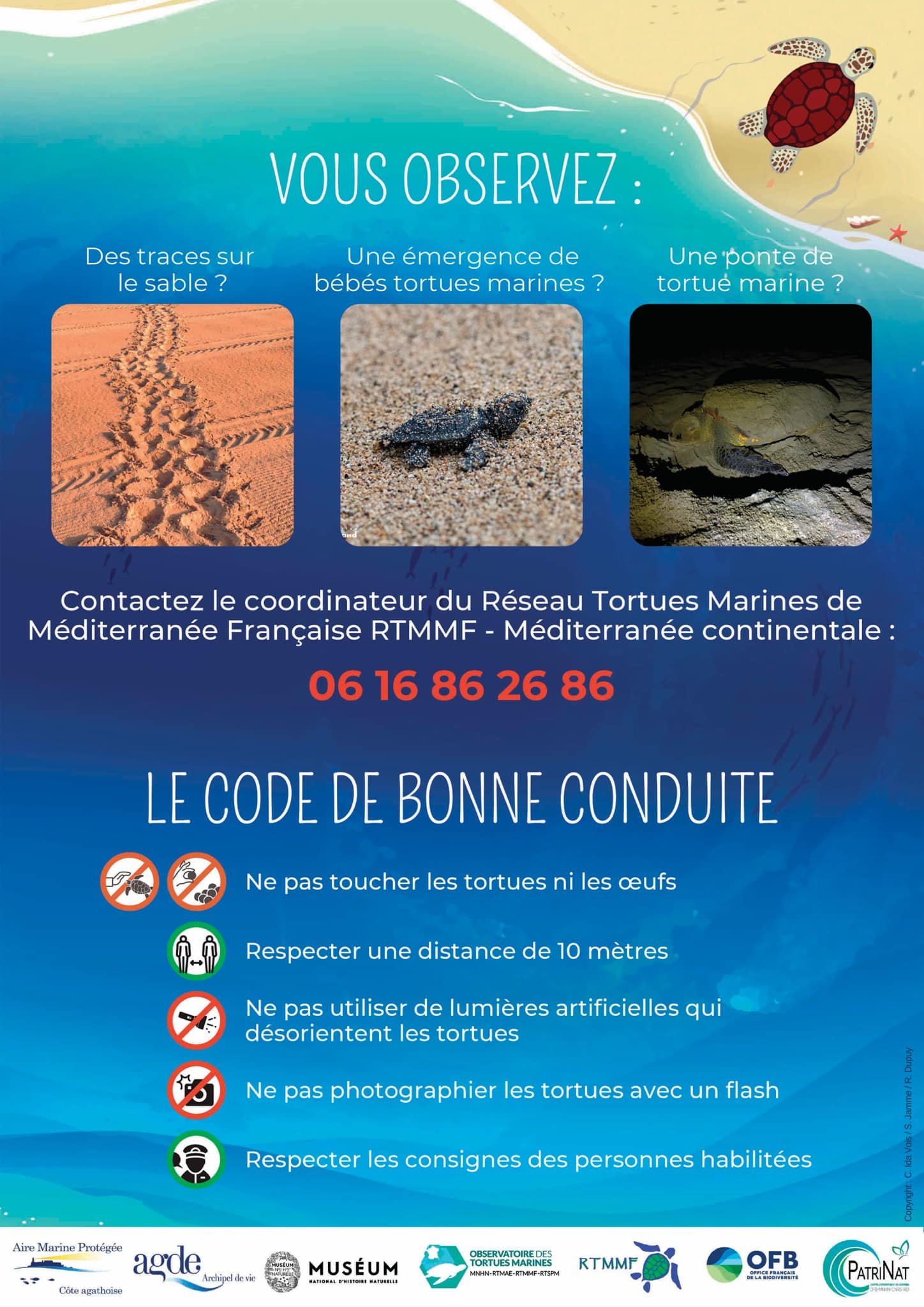 Affiche sur la bonne conduite à adopter si l'on observe une tortue marine